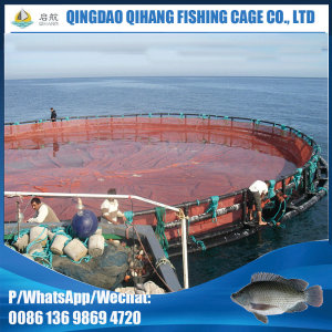 Long Service Life Salmon Fish Farming Cages