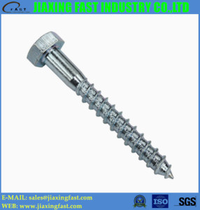 Hex Wood Screws (M10X50)